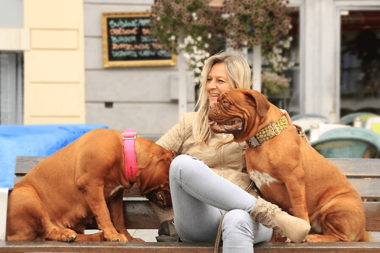 Pet-Friendly Cities