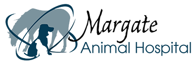 Margate Animal Hospital